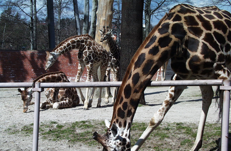 Zoo Liberec